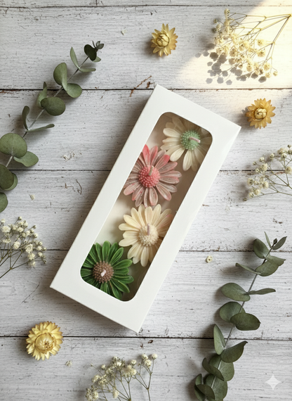 Daisy scented candle box